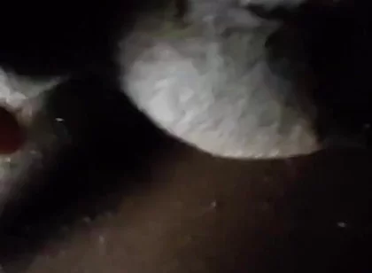 Spit on Your Genitals and Move and Ejaculate