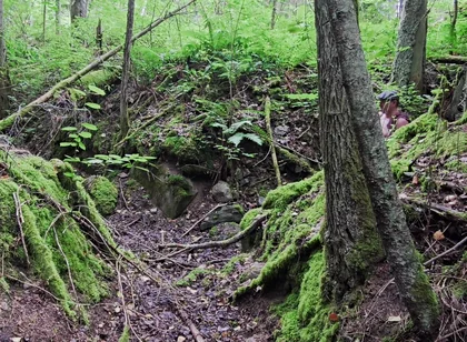 Gray Day Hiking