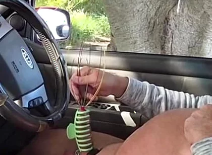 In the Car