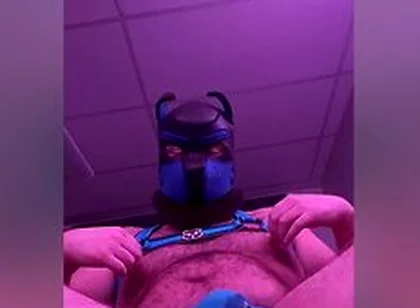 Hairy Bear Pup Knot
