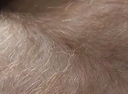 Anybody Want to Run Their Hands Over My Hairy Ginger Chest and Belly?