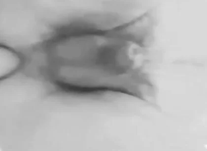 Anal Plaisure