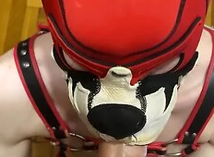 Top With A Big Dick Fucked His Puppy In The Mouth