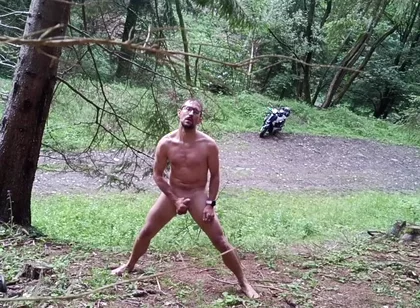 Wild Slovak Nature
