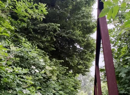 Netherland Guy Dared Strips and Walks Naked in the Park Candid