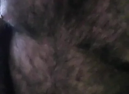 Bear Alone