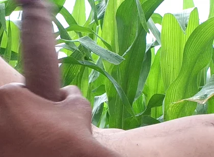 Worldwide Viral Desi Hunk Solo Action Part 4 - Premium Faceless Amateur Close-up Raw Stroking Session 4K