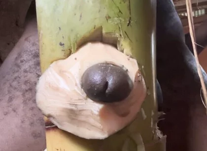Hoter Way to Be Very Hard Strong Straight Cum Cute