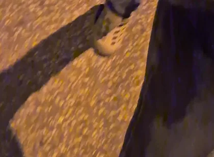 Pissing Jeans in Public