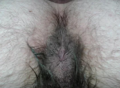 Cock Balls and Hairy Ass of Farts