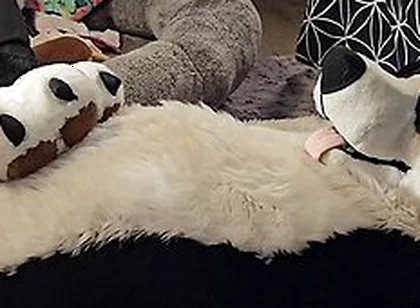 Pawslut Puppy Gets Back To Back Pawjobs With Massive 2nd Cumshot At The End