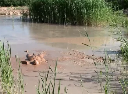 A Short Exploration of a New Mud Lake