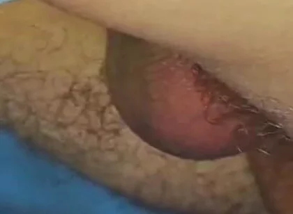 A Powerful Bull Covered in Sperm Fucked a Sissy Femboy Twink.