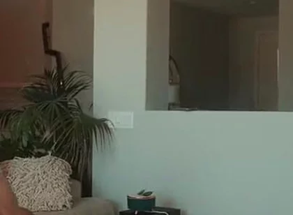 The Robery Was Cut and the Guy Got Punished