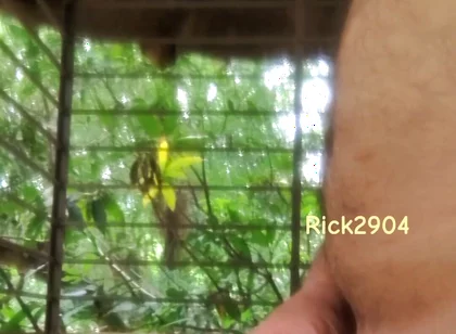 Playing with My Dick