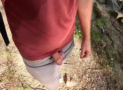 Surprise in the Foliage