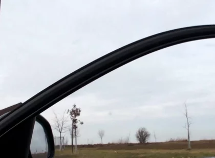 Bitch Boy Sucking Cock in Public