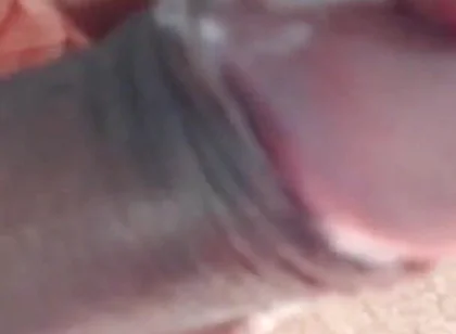 Macho Latin Stud Strips and Jerks His Uncut Cock for You