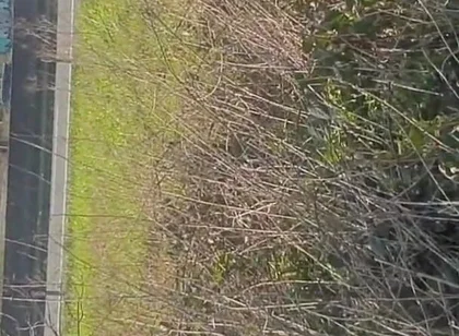 This Was Such a Rush! and I Also Got Fisted There