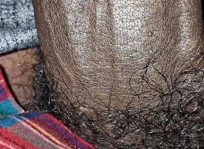 Big Chocolate Meat