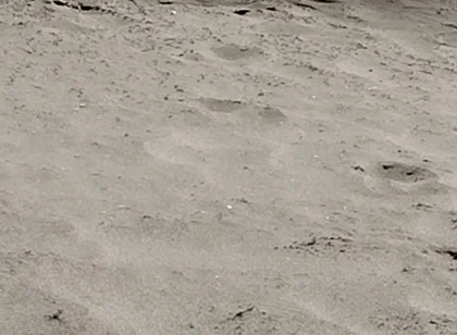 On the Beach Nude