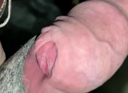 Close up Uncut Handsfree Cumshot After Hose Suction