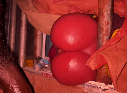 Big Ass Vibrate All Dick to Cum Hubby