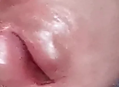 The Dick Growls at Its Owner
