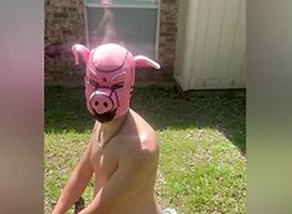 Pig Blown Up By Helium - Belly Inflation