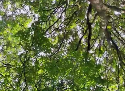 Slutboyben Cam4 Sexy Cruising Chick Iii Live Outdoor Exposure