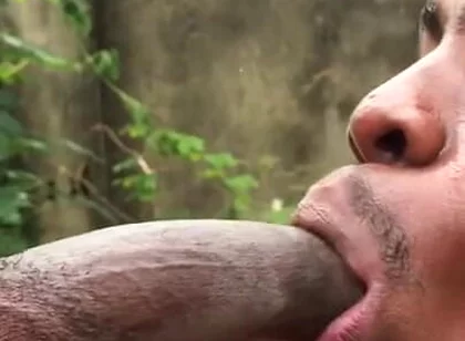Sweet Cock Sucker