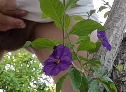 Watch Me Jerking off Outdoors While Hiding Behind a Tree