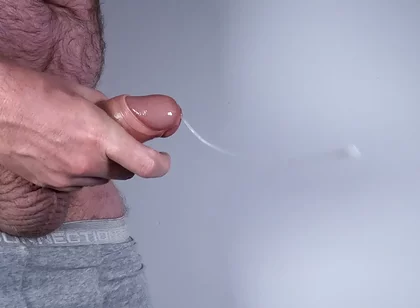 Bear Suffers From Sudden Wank Syndrome
