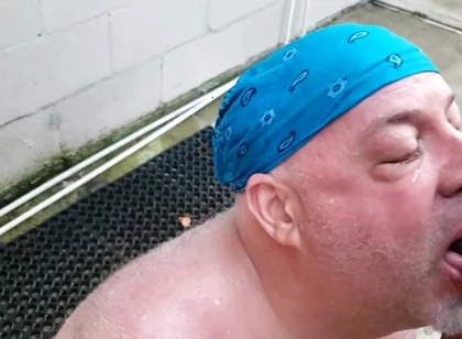 Bear Gets Pissed on by BBC
