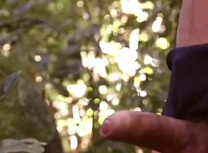 Fuck Amazon Jungle Breeding Bi Sexual Cumshot