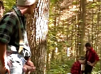 Michel Damours Hunted Hd!