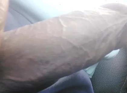 Most Wanted Cock