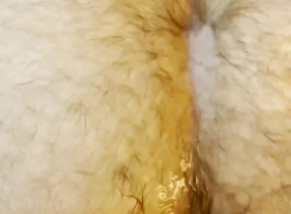 Ass up Face Down Raw Dirty Rough Cumdump Hairy Big Dick Hardcore Bareback Breeding