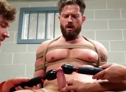 Prison Domination