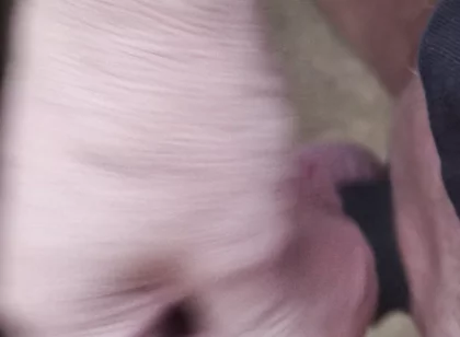 My Friend Sits in a Chair and Jerks His Cock While Watching the Video Until He Orgasms