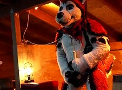 Husky Fursuiter Suspension Jerkoff