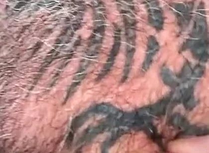 Tit Milk