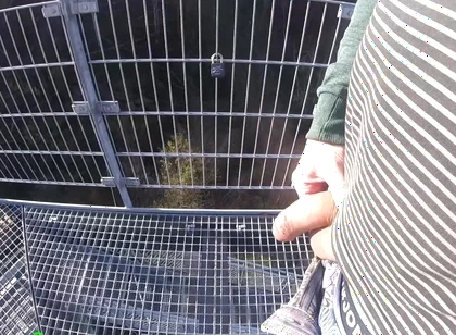 I'm Edit on My Foreskin Cock Outside on a Very Public Observation Tower by a River.