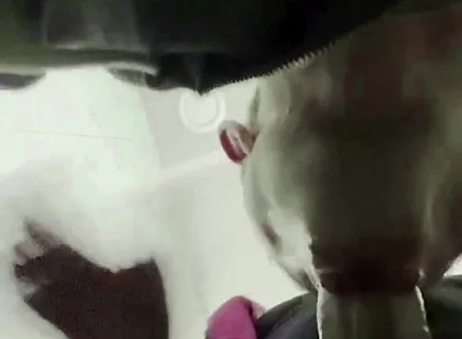The Teacher's Thick Sucks in a Public Toilet. Slaps for a Student