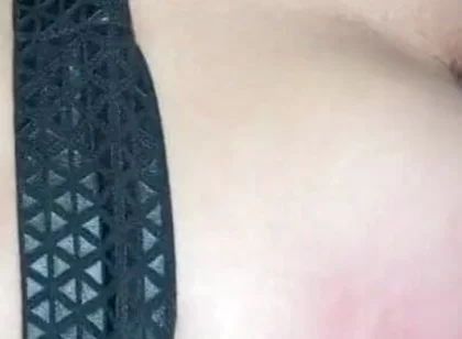 Lagarto used raw by Alexis Clark
