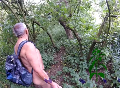 Part 2 Walk 42