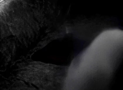 Hump Masturbation Black and White with the First Real Webcam in 1996