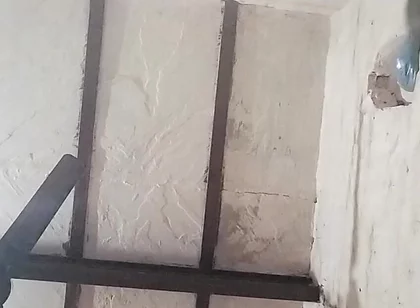 Big Indian Cock