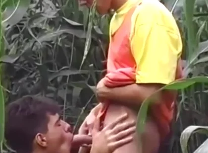 Frisky Sumer 1 - Parte 3